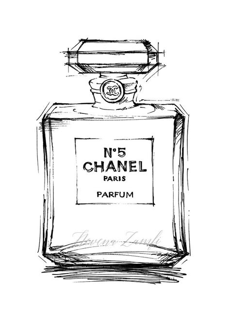 pictures of chanel perfume bottles|chanel perfume no 5 drawing.